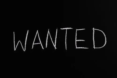 招成是否转暖取决于下半年:今年有人跳槽“减薪30%”