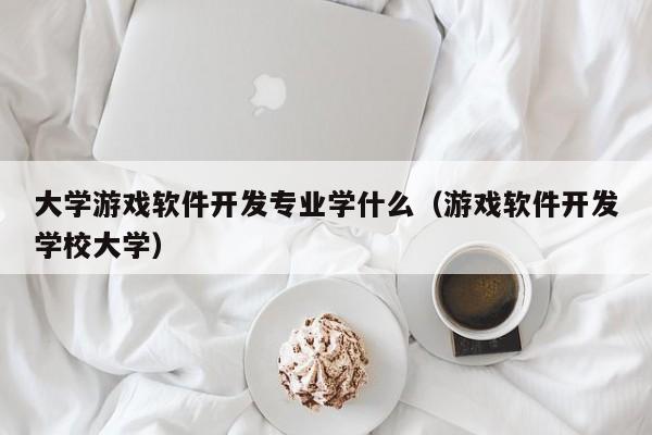 大学游戏软件开发专业学什么(大学游戏程序开发)